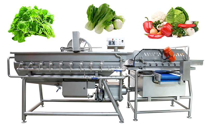MNS-WL420B Leafy Veggies Salad Washing Processing Line