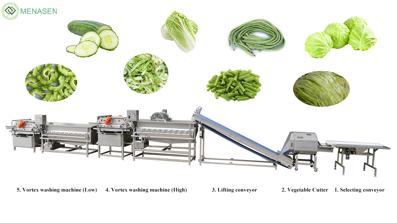 salad washing machine
