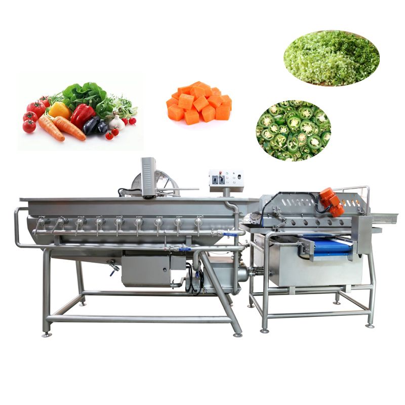 Fruit Vegetable Processing Machine