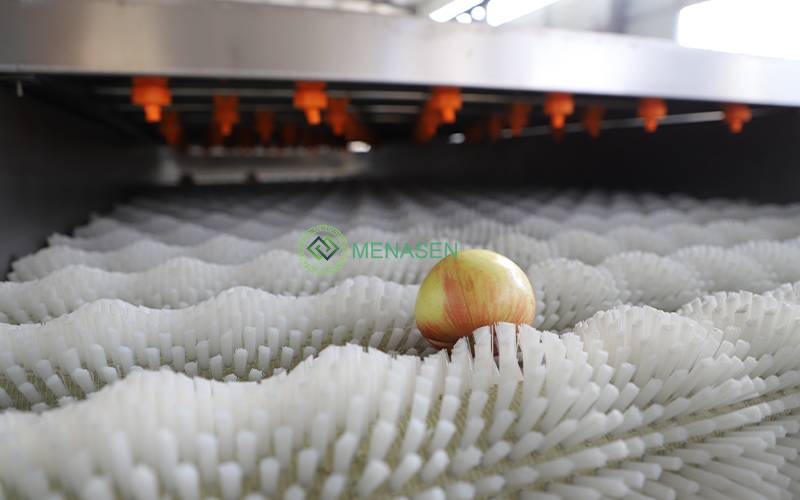 brush roller washing machine brush roller washing machine