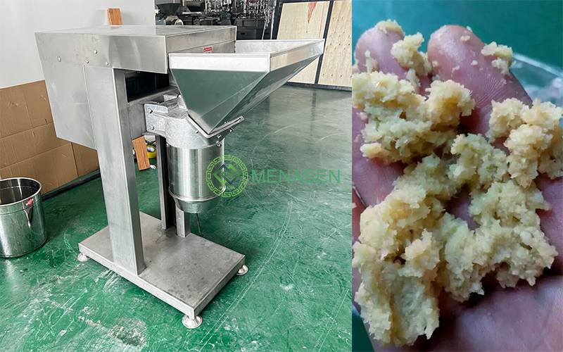 garlic chopper garlic chopper