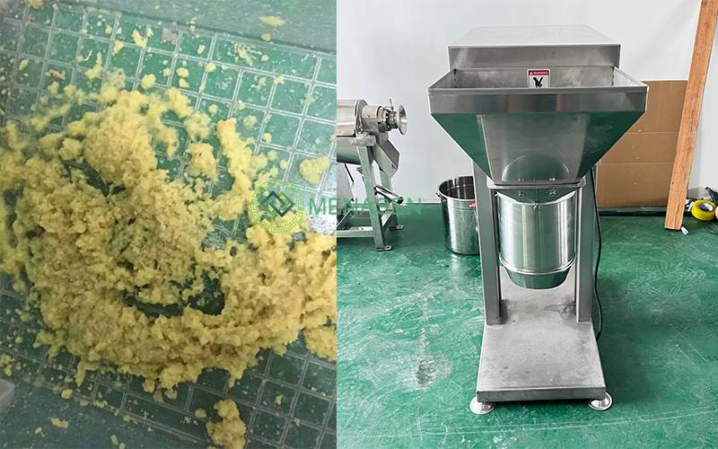 garlic chopper garlic chopper