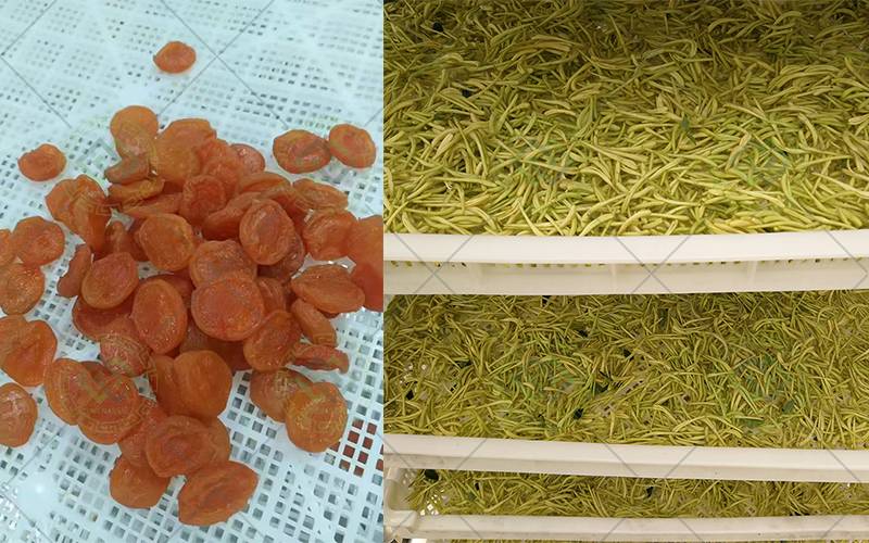 dehydrator machine dehydrator machine