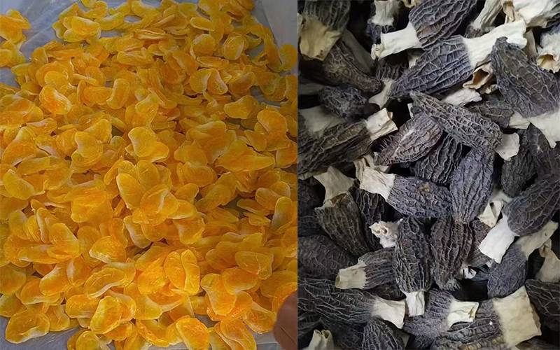 dehydrator machine dehydrator machine