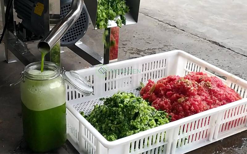 fruit juicer machine