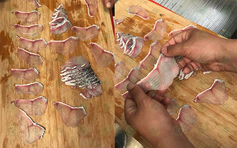 fish slicer fish slicer