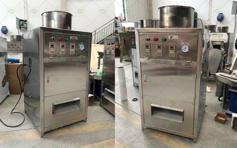 garlic processing garlic processing