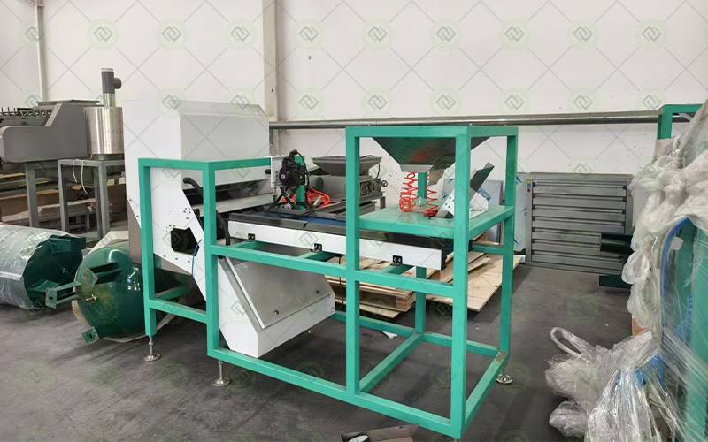 garlic processing garlic processing