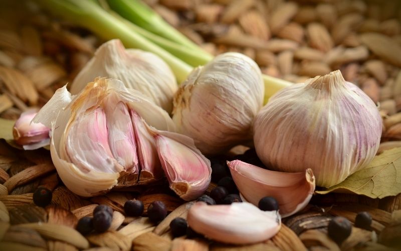 What machines are you should consider for garlic processing?