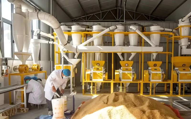 Flour mill factory equipment: Grain Flour Mill Grinder