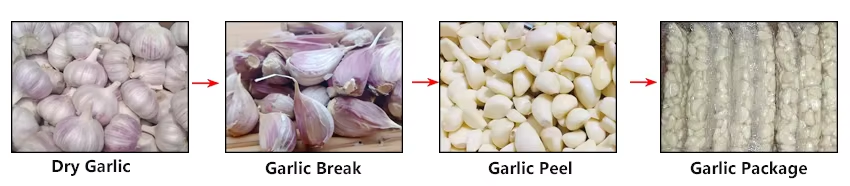 garlic peeling machine