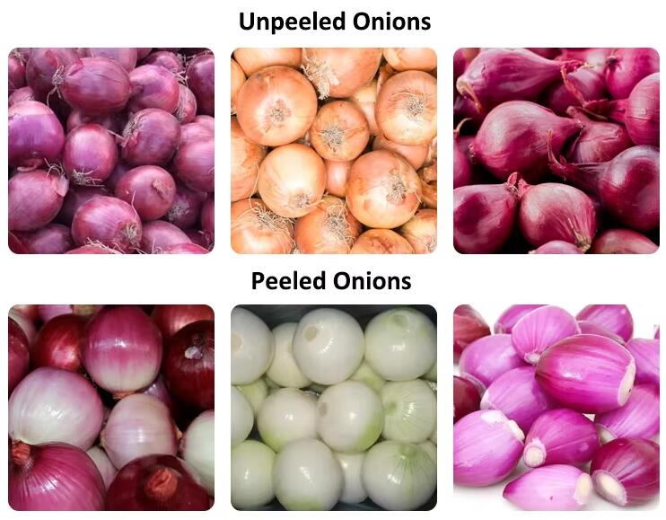 automatic onion peeler machine automatic onion peeler machine