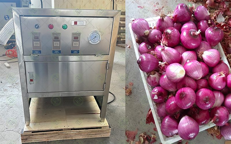 onion garlic peeling machine