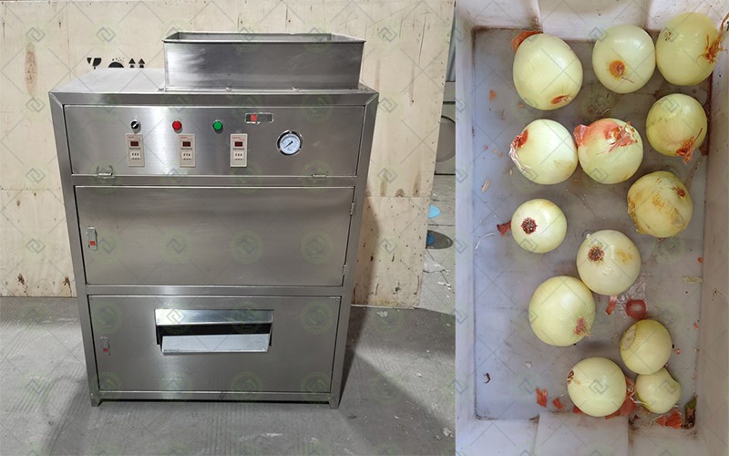 onion garlic peeling machine