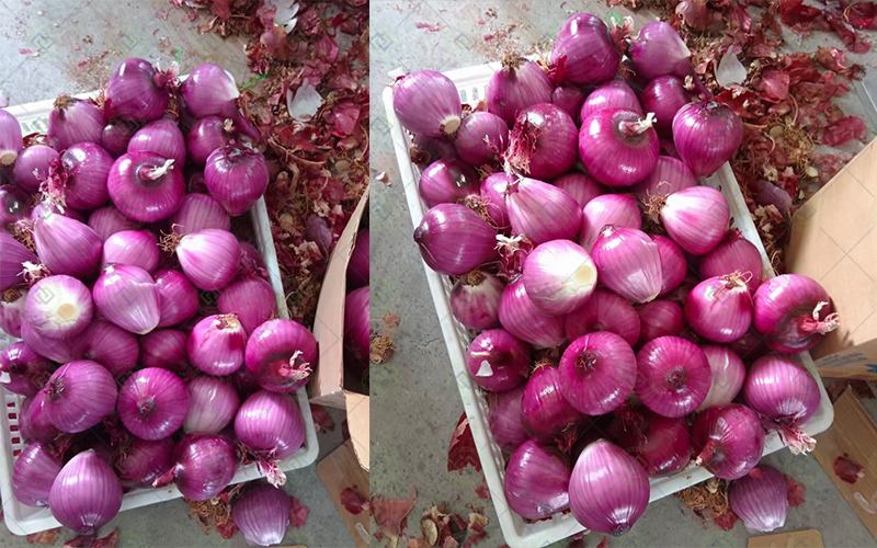 onion garlic peeling machine