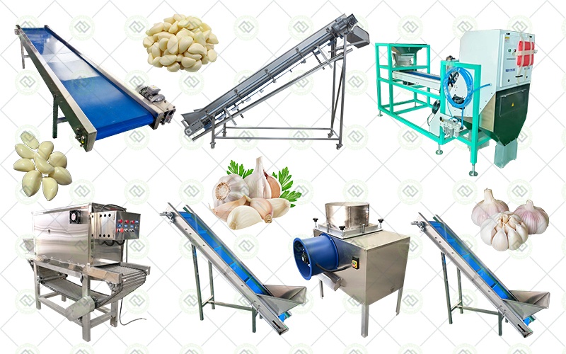 automatic continuous garlic clove peeling production line