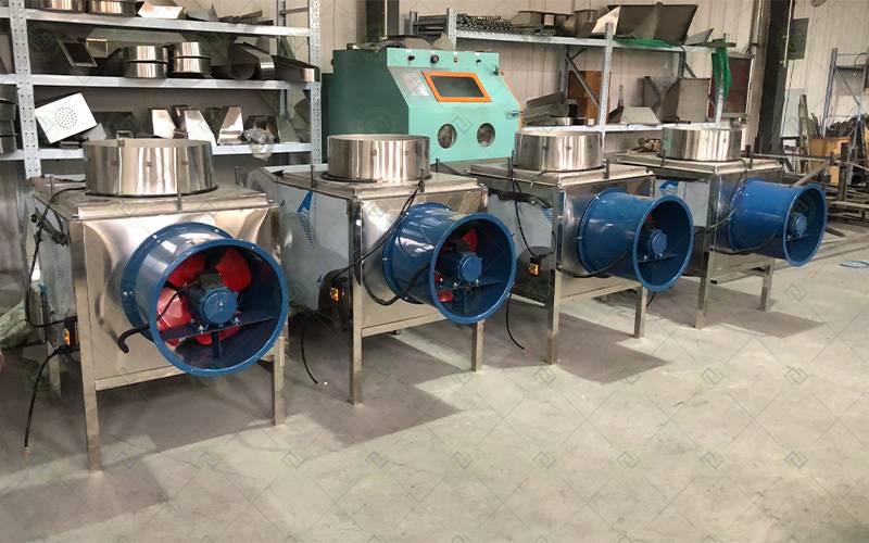 automatic continuous garlic clove peeling production line