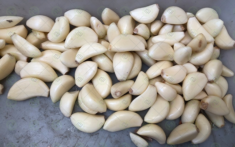 automatic continuous garlic clove peeling production line