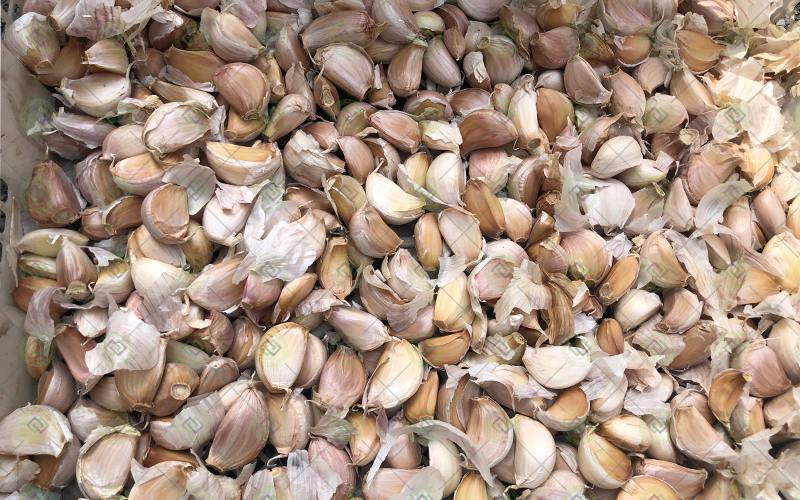 automatic continuous garlic clove peeling production line