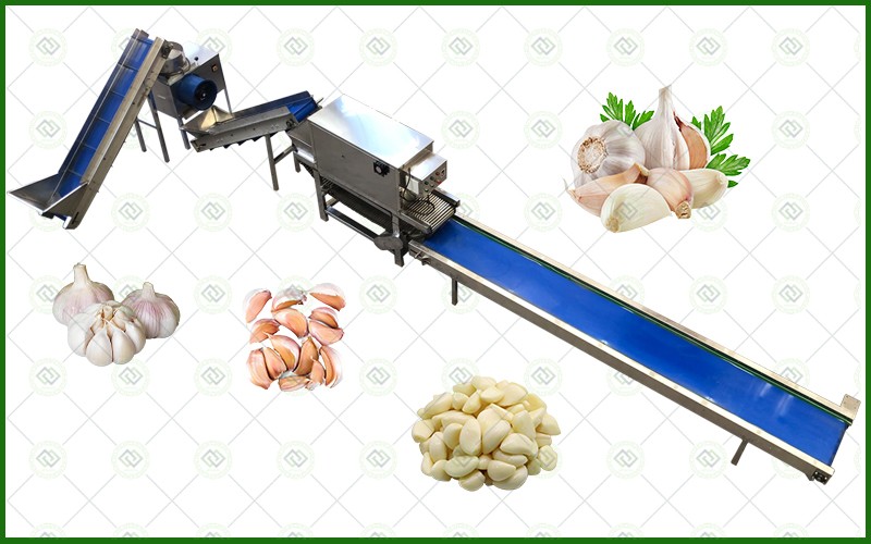 garlic peeling packaging processing line garlic peeling packaging processing line