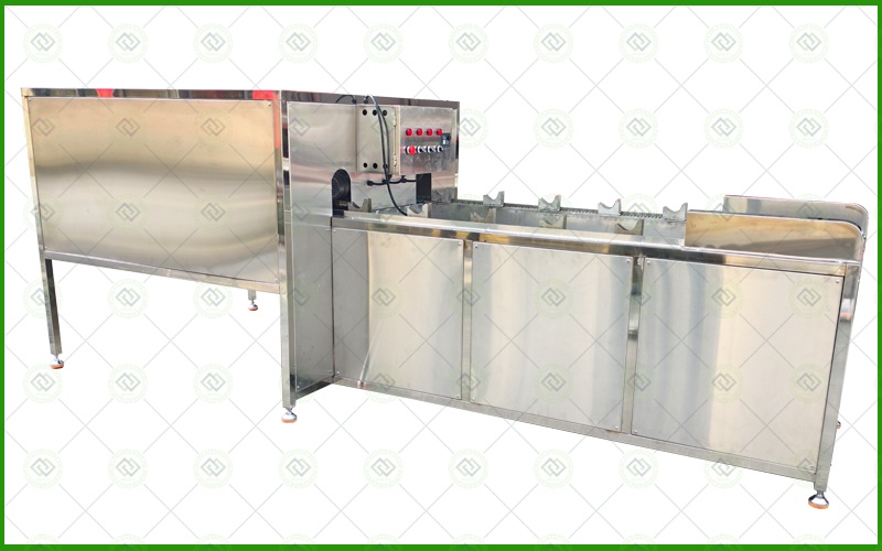 automatic onion root cutting peeling machine