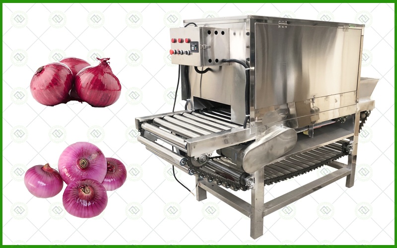 automatic onion root cutting peeling machine