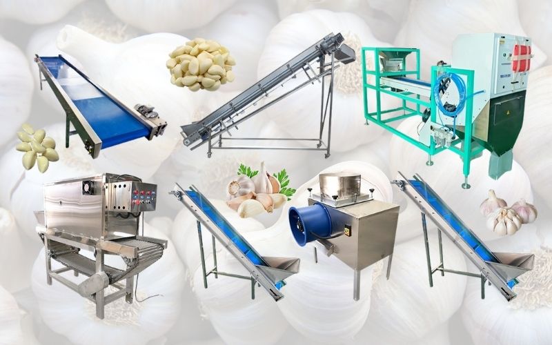 Automatic Continuous Garlic Clove Peeling Production Line