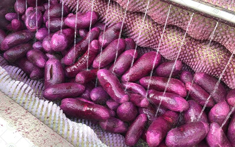 potato-peeling-machine