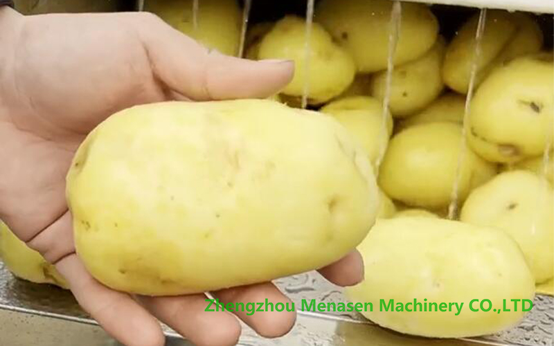 potato-peeling-machine