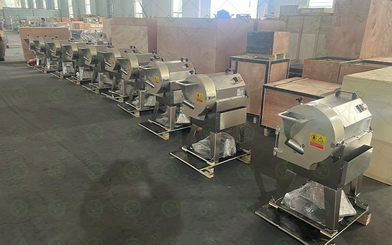 vegetable chopper and slicer