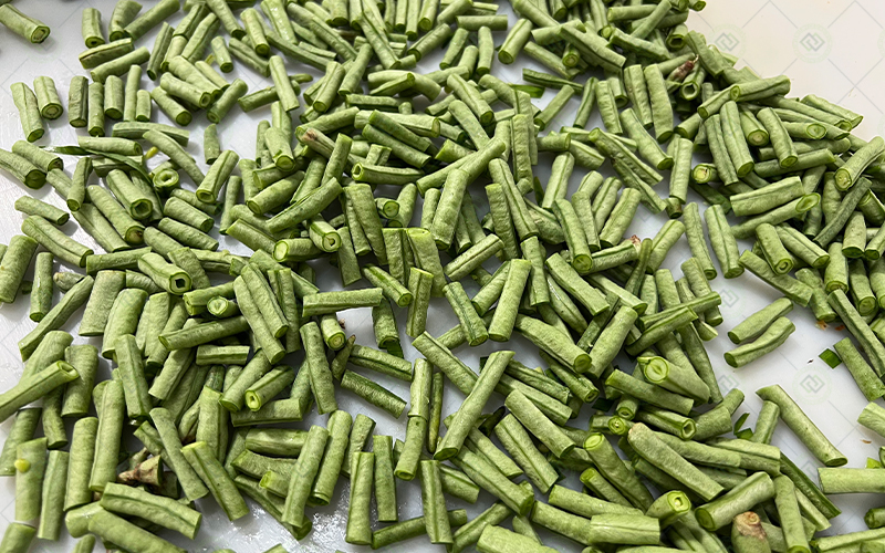 multi-function vegetable cutting machine