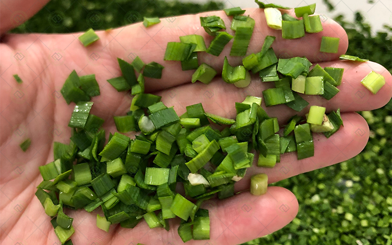 multi-function vegetable cutting machine