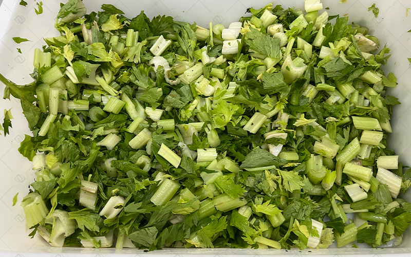 leafy vegetable cutting machine leafy vegetable cutting machine