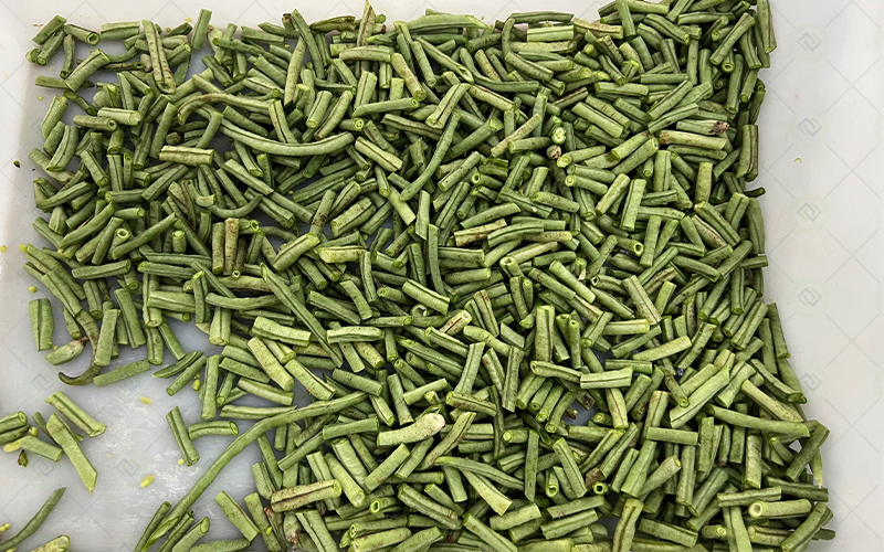 leafy vegetable cutting machine leafy vegetable cutting machine